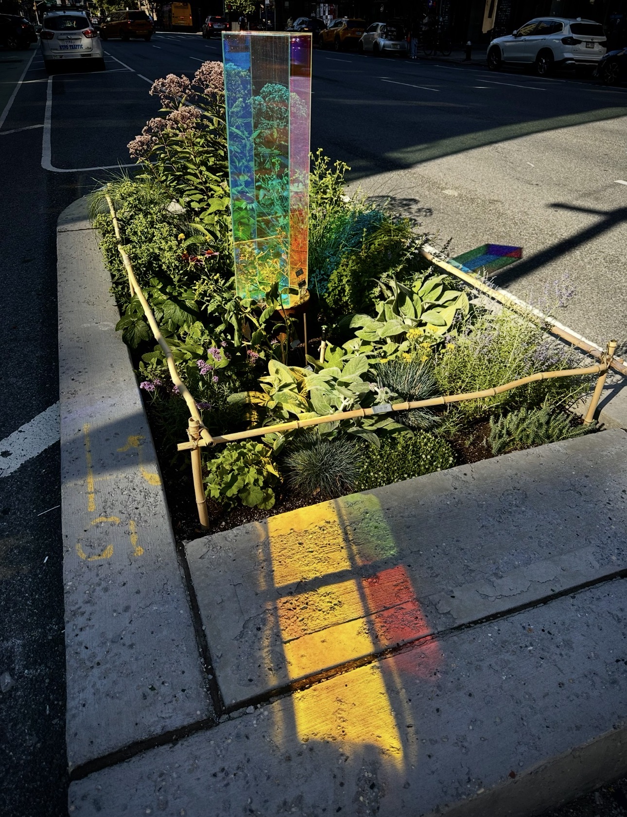 The gazing ball standing among the plantings at Itty Island in late afternoon light, casting a panel of gold, red and violet across the sidewalk beside the bed