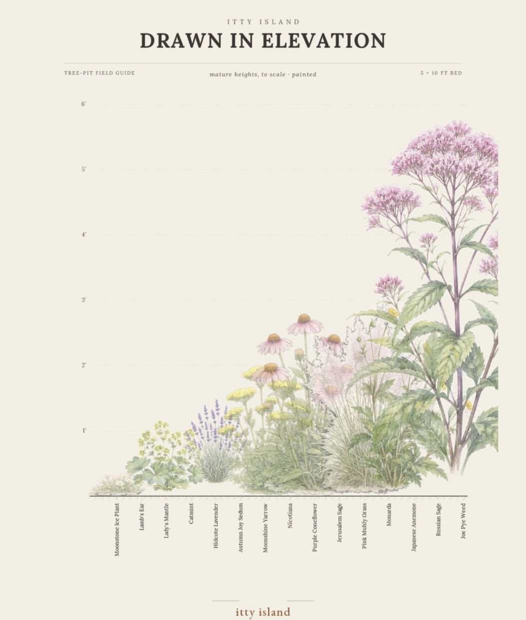 Scaled planting plan of the island showing perennial and pollinator-friendly species