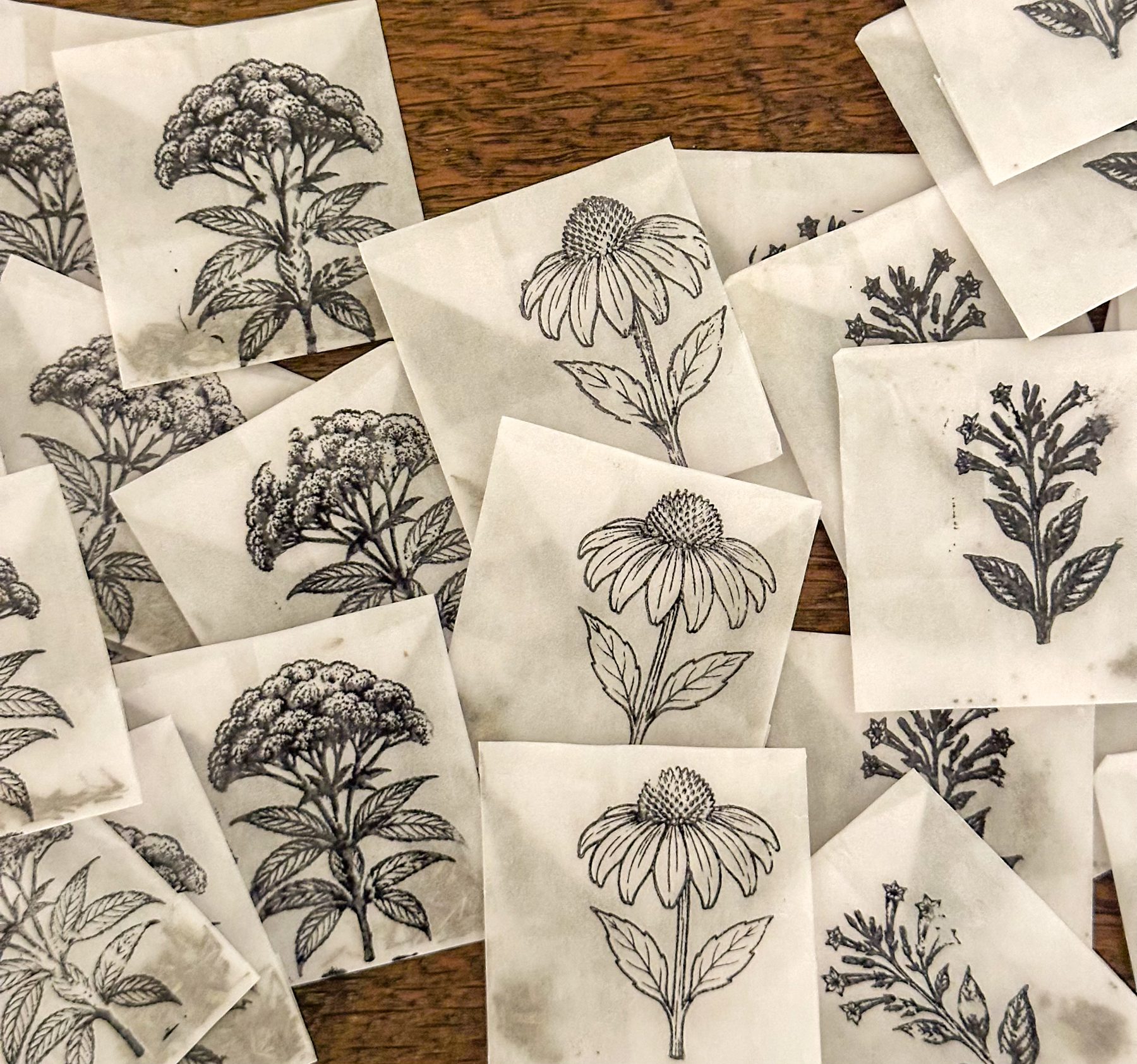 Glassine seed packets printed with engraved illustrations of Joe Pye weed, coneflower, and nicotiana
